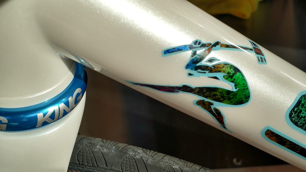 downtube detail